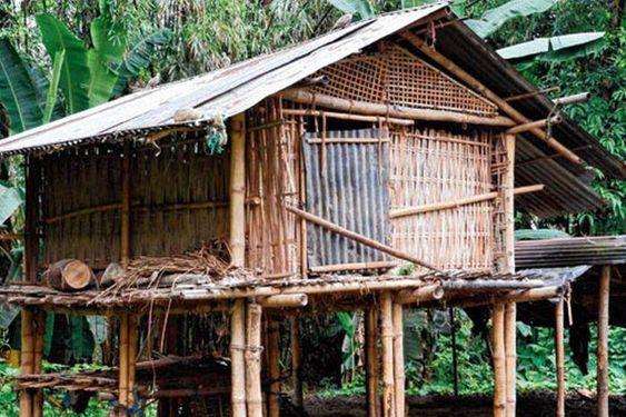 bamboo house assam.jpg