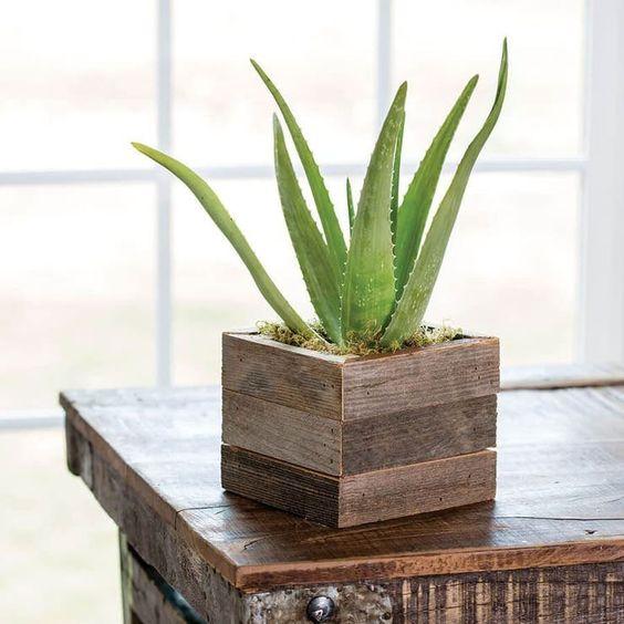 Wooden Plant Holder