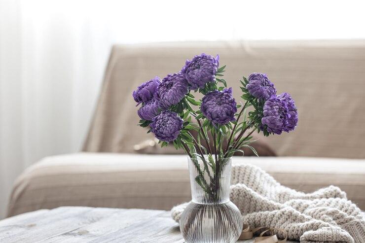 Lavender plants.jpg