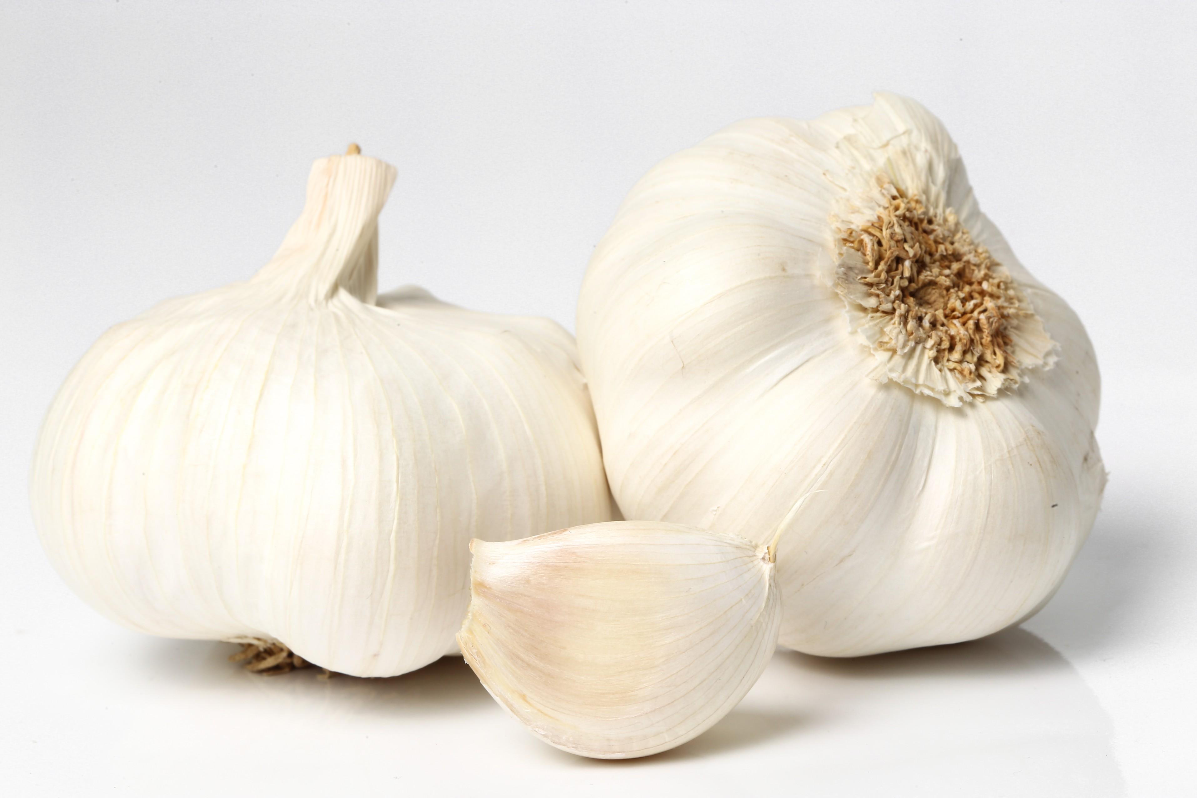 garlic-table (1).jpg