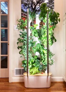 Aeroponic tower at home