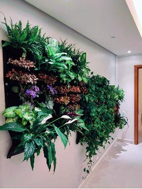 Indoor Vertical Garden