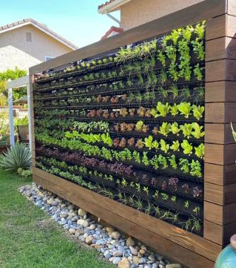 Outdoor Vertical Garden