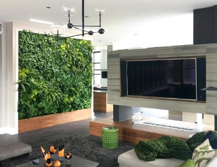 Greenwall In Living Room