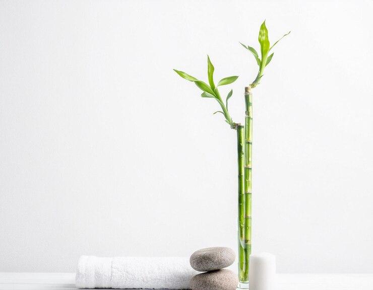 zeninspired-spa-decor-with-stones-towel-bamboo-vase-white-background_1255146-12267 (1).jpg