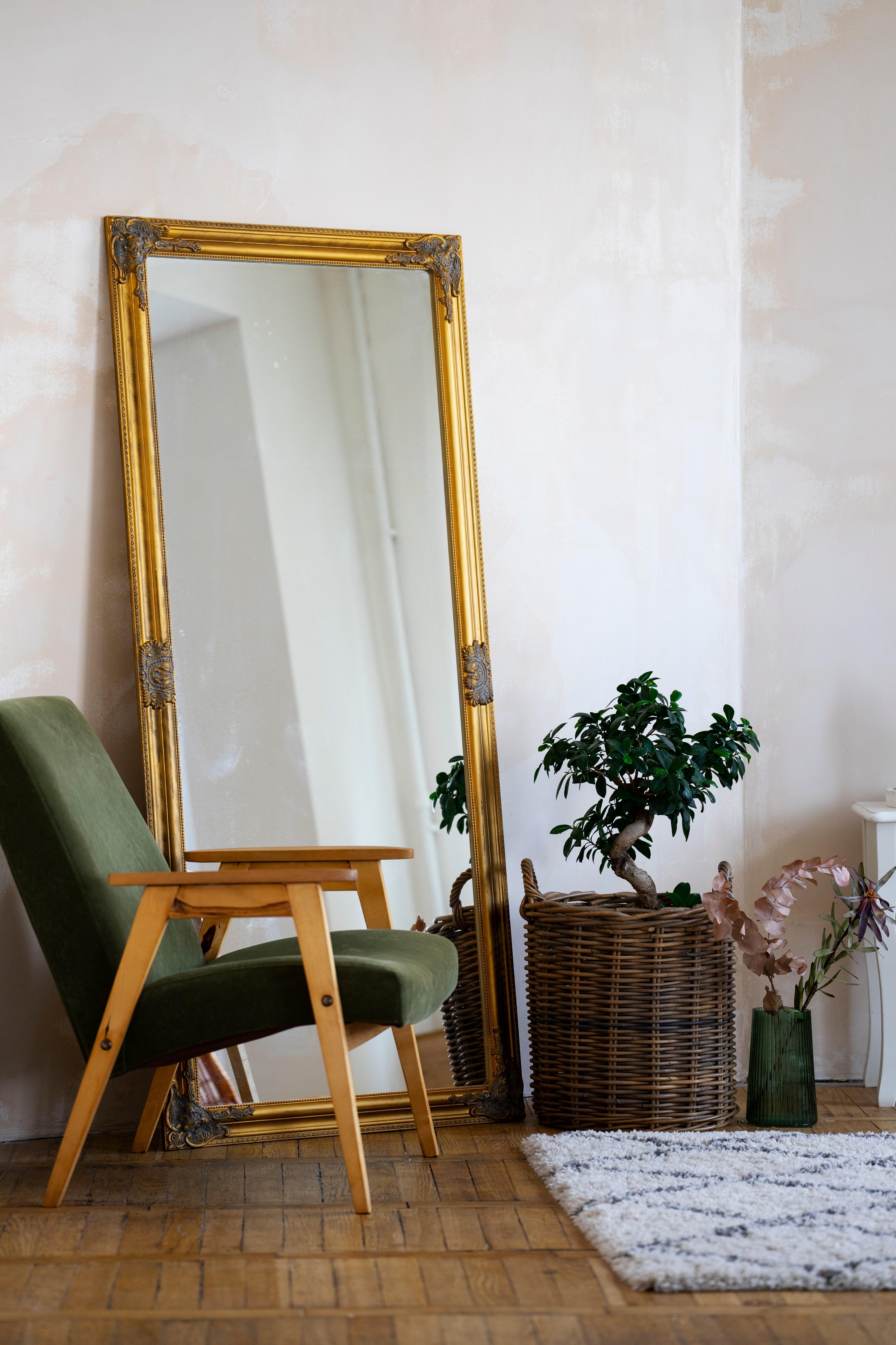 interior-decor-with-mirror-potted-plant (1).jpg