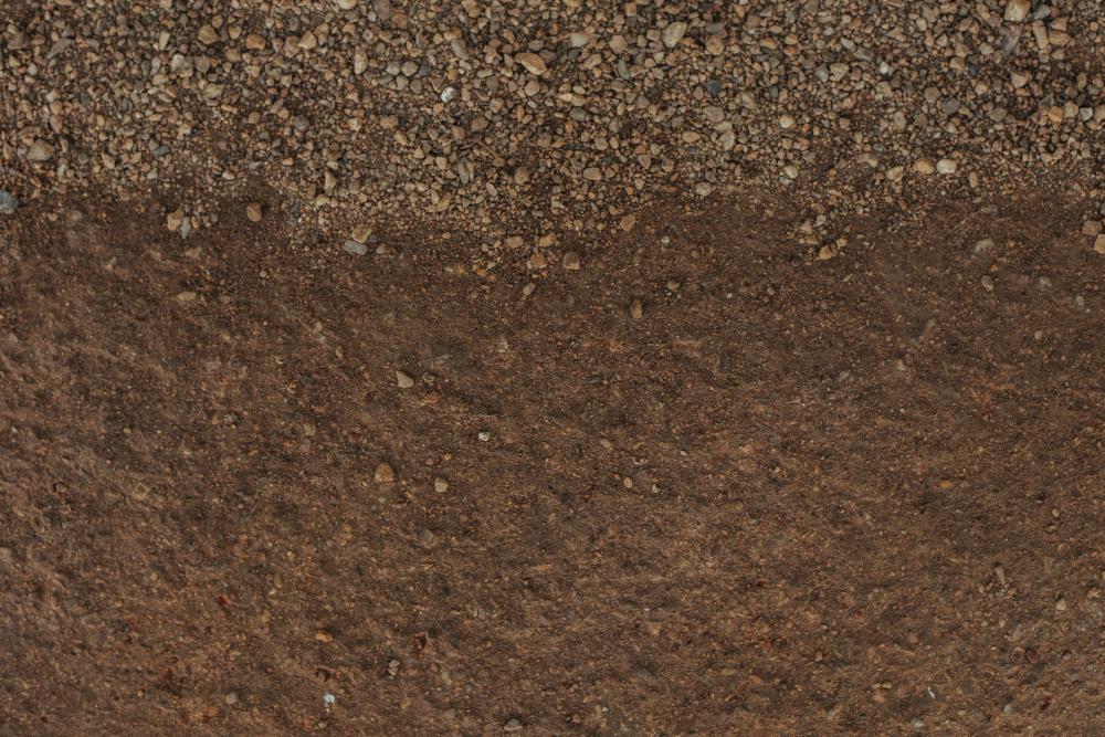 Peaty Soil.jpg