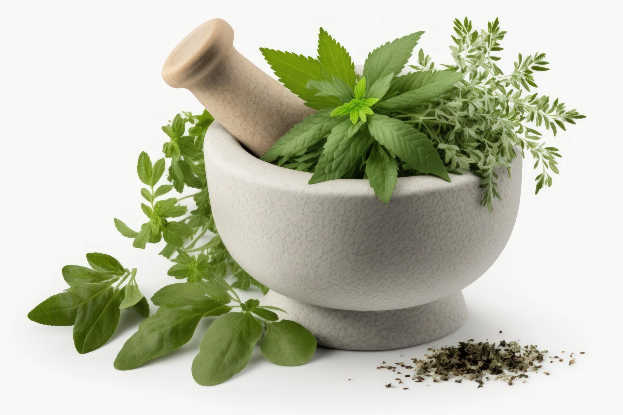 fresh-herbs-mortar-isolated-white-background (1).jpg