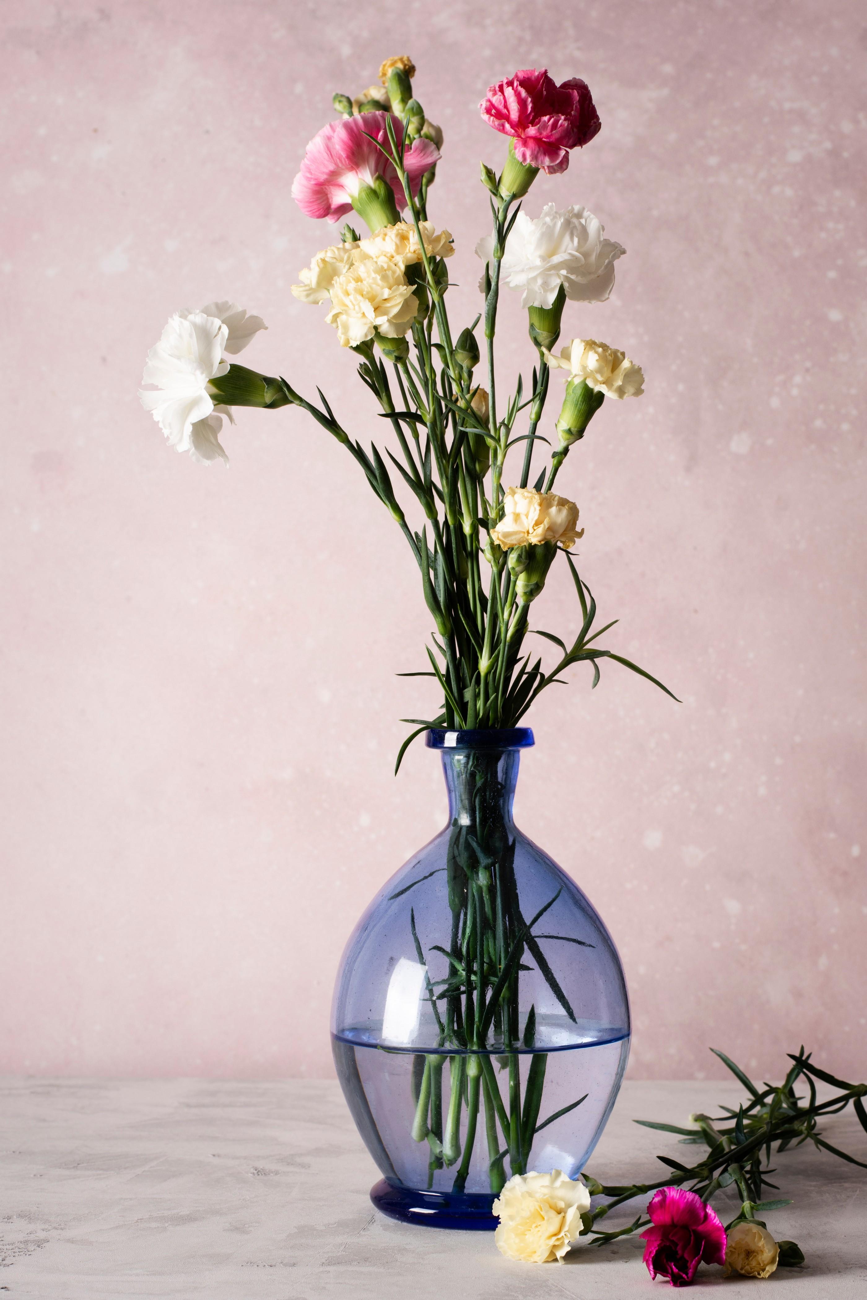 blossom-flowers-vase (2).jpg