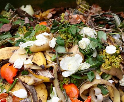 Organic Waste