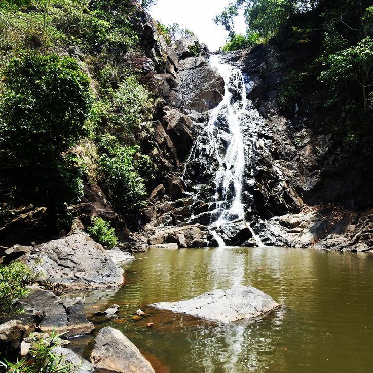 Greenery at Simlipal, Pinterest