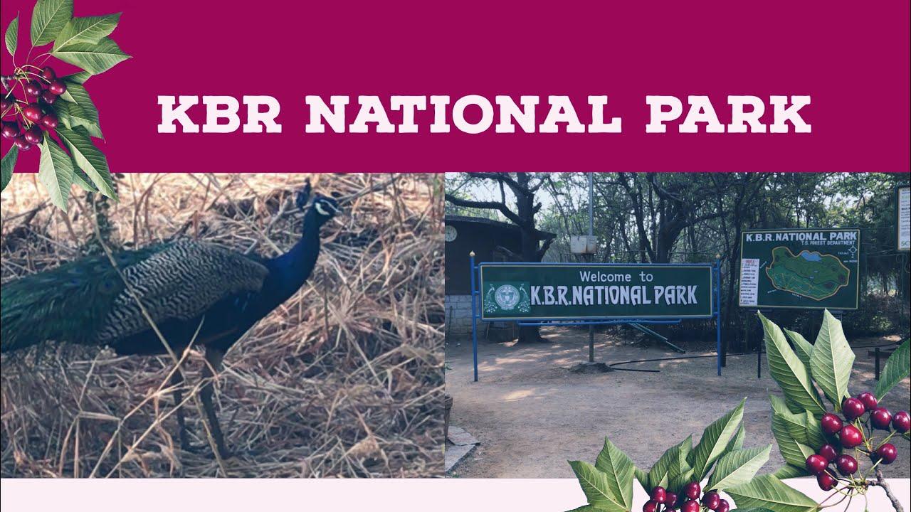 KBR National Park, Youtube