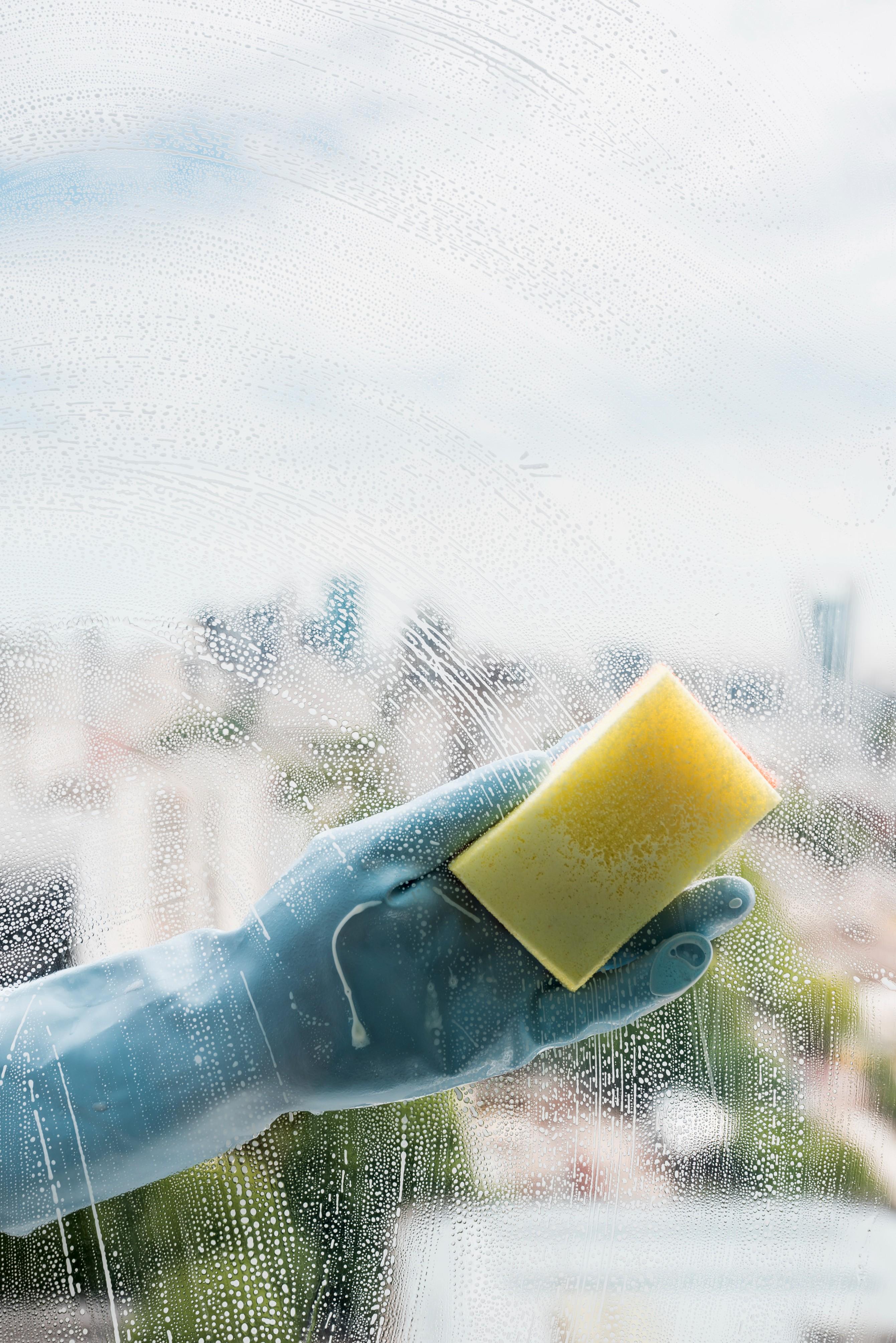 window-cleaning-concept (2).jpg